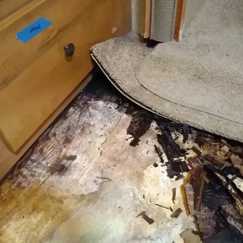 Best Wood Floor Water Damage Service in Hall County, GA